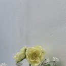 온더페리 이미지