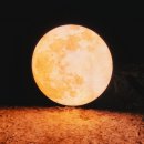 별빛소나타 | 오크밸리 소나타 오브 라이트 달빛의 안단테