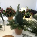 브리지데이 이미지