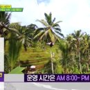 세윤푸드 이미지