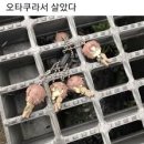 ✨🌸🌼🍀🥰여름이와요!!🦋🌸⭐🌸🌈