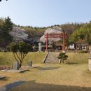 하빈농업협동조합동곡지점 | 대구 봄나들이 대구벗꽃놀이 육신사 &amp; 문양벗꽃길
