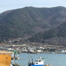 당동횟집 | 경남 고성_세꼬시로 먹어야 진짜! 3월 제철 봄 도다리 로컬횟집 포장 후기