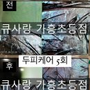 은초다움