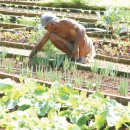 안산이농장 이미지