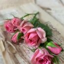 풍요의 바람 이미지