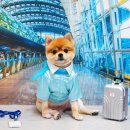 하와더카페 이미지