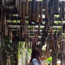 왕자양품 이미지