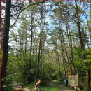 충남 보령 호도 이미지