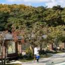 모에누베이커리 이미지