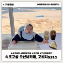 젤라빌라 앞 | 속초 고성 오션뷰 카페 고비치5311 아이랑 카페 추천 아기의자 강원도 애견동반가능카페