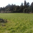 성읍리-25 이미지