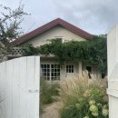 셀프펜션 | [강릉,정동진] 강릉 독채펜션 감성 숙소 스테이밤밤 후기 | 셀프 웨딩촬영