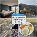 포레팜 | 충북 증평 벨포레리조트 51평 숙박후기 조식뷔페 남도예담 놀이공원 벨포레목장