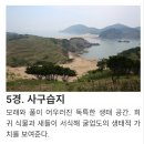 [11월10일~11일(화,수)제546회차]한국의 갈라파고스＜굴업도 1박2일＞ 섬트레킹➡️🍒5시출발/신분증지참 이미지