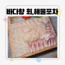 싱싱회포차 | 마산 맛집 삼계 '바다향 회,해물포차' 싱싱함에 홀딱 반한 솔직 후기!