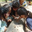 자연생태어린이집 이미지