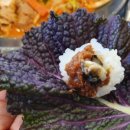 서가네우렁쌈밥 이미지