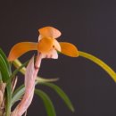 광림의집 이미지