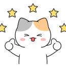 홍게 인생라면 이미지
