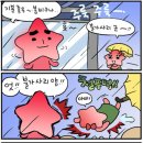 불가사리 이미지