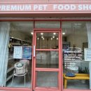 해피퍼피스데이 이미지