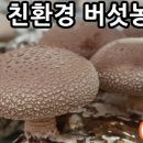 대야지업사