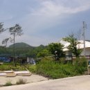 평송단월주유소 | 경기 양평군 단월면 상가건물경매 ◇ 169㎡ (51.16평)/1,262㎡ (381.76평) ◇ 212,531,000원