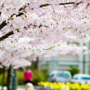 백석아이파크 이미지