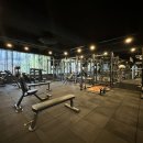 오이이핏 이미지