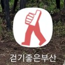 주식회사 브이세븐 | 부산 세븐브릿지 신호대교 힐링갯벌체험&인공철새서식지 둘레길걷기 걷기좋은부산어플 뮤지엄원 부산...