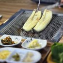 금빛장어 이미지