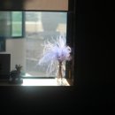 쉬갈