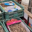 고려건강원 이미지