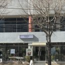 산호동100 | 마산 산호동 숨은 카페 플로피 식물 가득 초록 힐링 공간 내돈내산