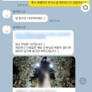 [가성비 본식 스냅+DVD]올바른 스냅 | 상품, 프로모션 및 계약 후기 (할인코드⭕️)