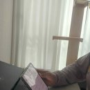 플랫폼에이 | 수학이 어려운 아이를 위해 사용해본 스터디에이 후기 [1기 체험단]