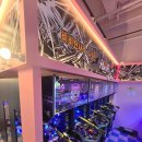 헌터독 가수원점 이미지