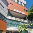 새싹작은도서관 | 새싹작은도서관 자원활동가들과 함께하는 포인세티아 수태볼 만들기