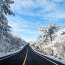 애월스마트테마파크 | 제주 리셋 여행 가이드! 스마트폰 끄고 걷는 오름길, 마음의 근육을 키우는 법