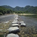 징검다리 이미지