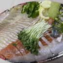 낭만사시미 이미지