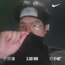 앵잘딱깔센 리뷰 │ [안농안식] 오미자청 솔직후기(내돈내산)