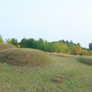 수촌리 고분군 이미지