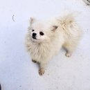 백암1길 이미지