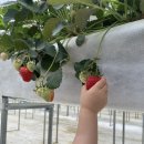 근해농장 이미지