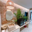 청담 고운 피부과 동물병원 이미지