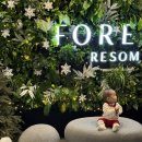 CU 강릉입암한결점 | 7개월 아기랑 포레스트 리솜 G40 빌라 클린 제천 국내여행