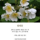 김교서 이미지
