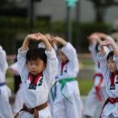 멋짐태권도 이미지